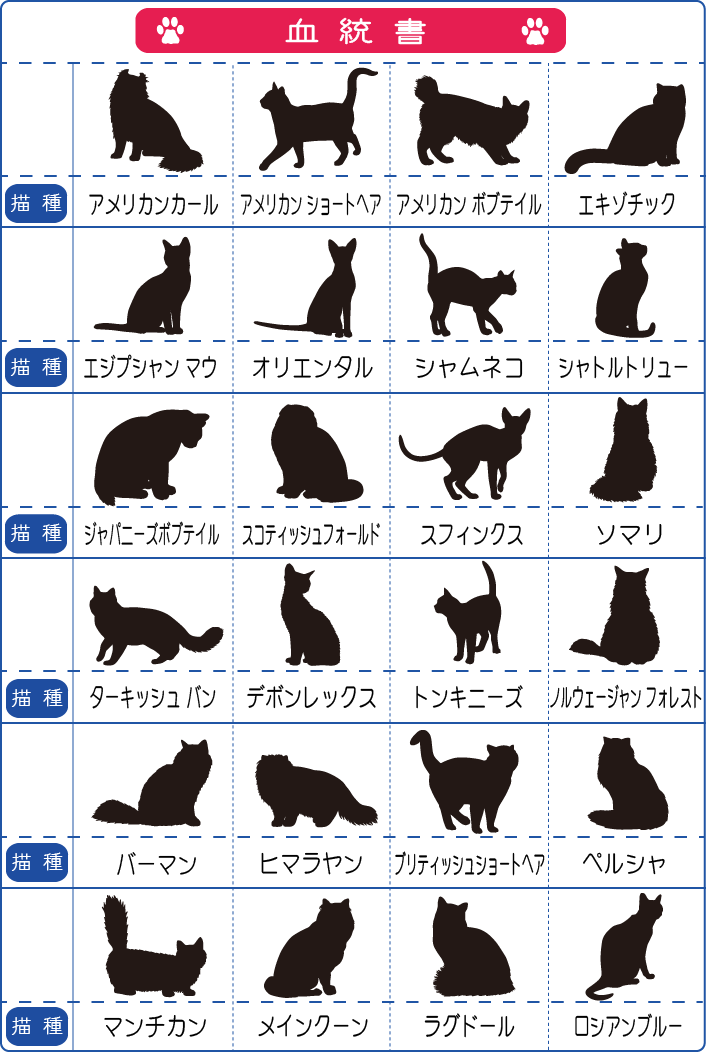 ガラス表札 送料無料 ステンレス裏板付き ネコ サンドブラスト ねこ・肉球 エッチング 15...