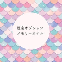 四柱推命鑑定オプション：メモリーオイル