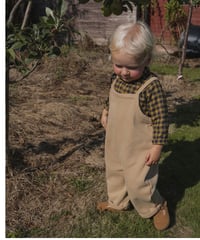 ボトムス HELLO LUPO Dalston Blommers Brown D HELLO LUPO - Dalston Bloomers - Brown D | UANDEL