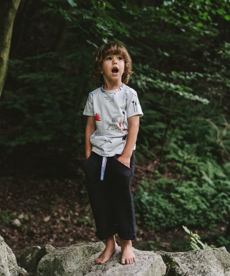 mile - dino kids' tee