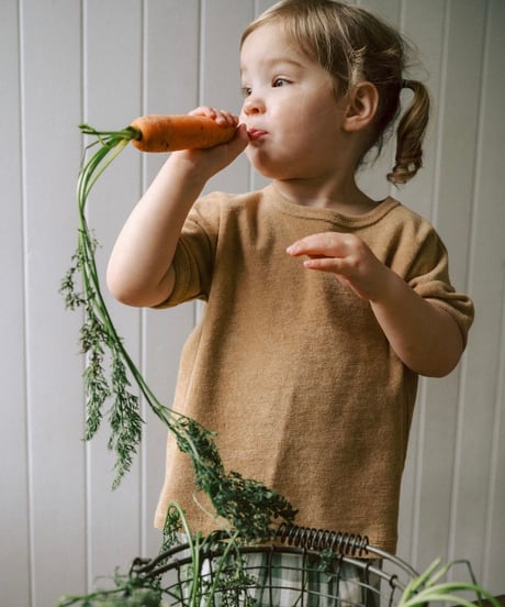 organic zoo - Wheat Terry Boxy T-Shirt
