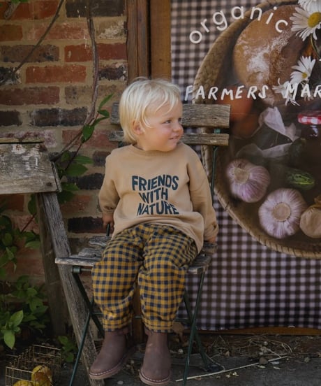 organic zoo - Blueberry Gingham Carrot Pants