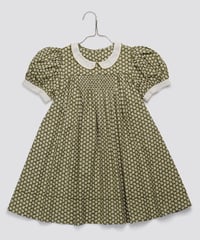 Little Cotton Clothes - Sally Dress Pembroke Floral