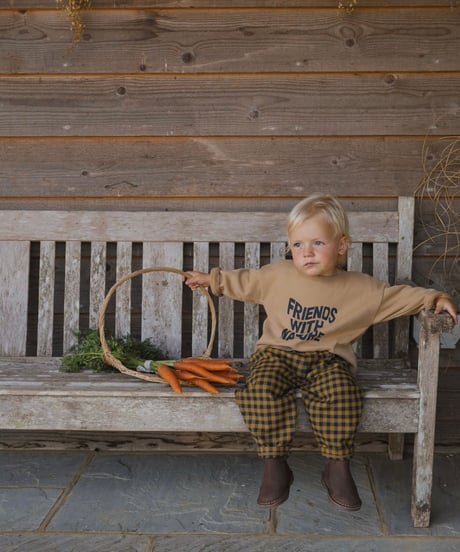 organic zoo - Blueberry Gingham Carrot Pants