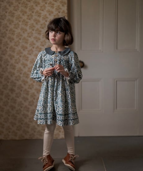 Little Cotton Clothes - Tessa Dress - Midwinter Floral