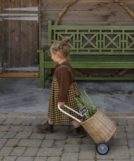 organic zoo - Blueberry Gingham Tribe Skirt
