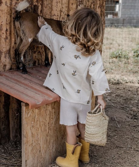 organic zoo - Olive Garden Boxy Sweatshirt