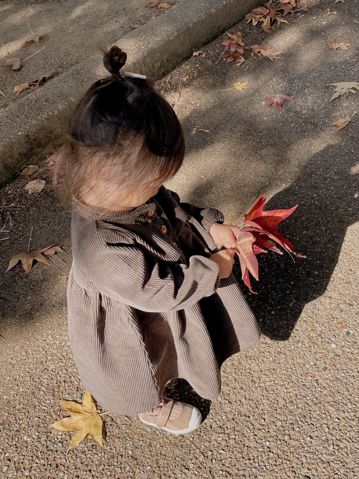 STUDIO BOHEME PARIS - ROBE VERMONT CORDUROY 送料無 STUDIO BOHEME PARIS - ROBE VERMONT CORDUROY 送料無