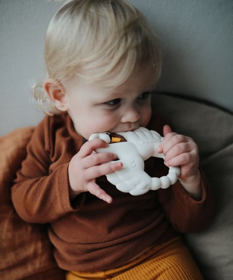 natruba - Teether Swan