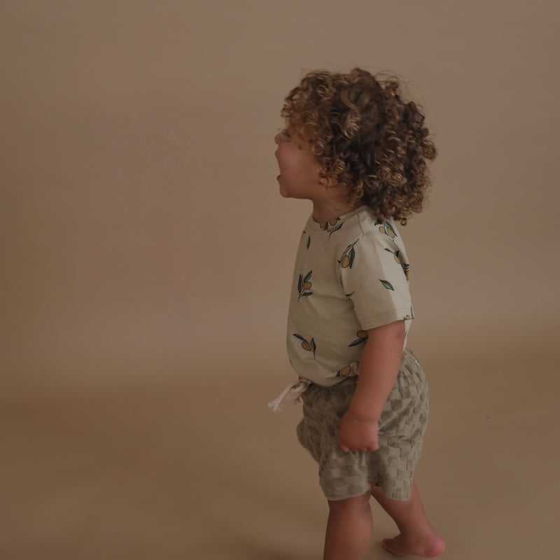 【あ】organic zoo Terry set organic zoo Terracotta Terry ボクシーTシャツ｜テラコッタ