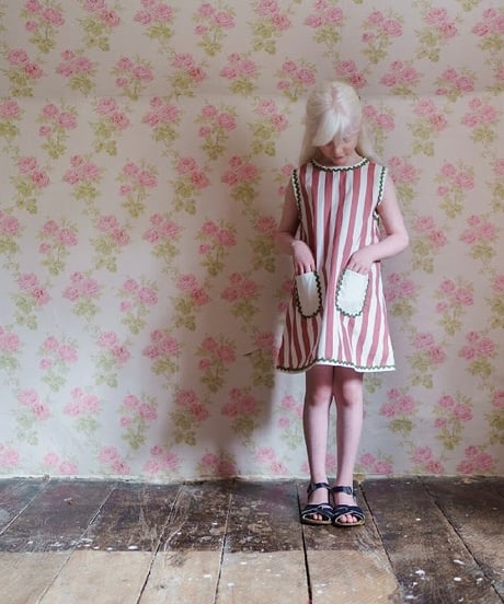 Little Cotton Clothes -  Hannah Dress Raspberry Stripe