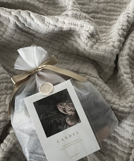 Gift Wrapping Bag