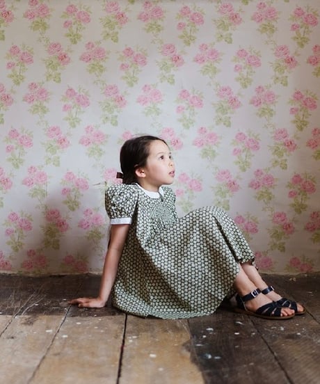 Little Cotton Clothes - Sally Dress Pembroke Floral