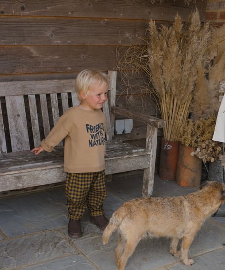 organic zoo - Blueberry Gingham Carrot Pants