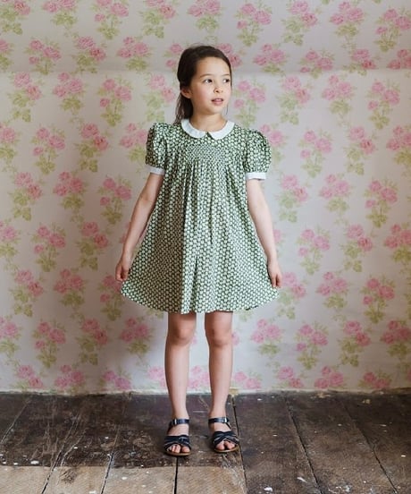 Little Cotton Clothes - Sally Dress Pembroke Floral
