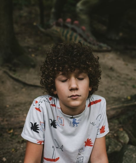 mile - dino kids' tee