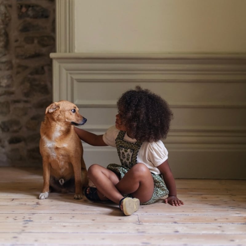 littlecottonclothes ロンパース18-24m ブルマー、ロンパース、ボトムス - Little Cotton Clothes