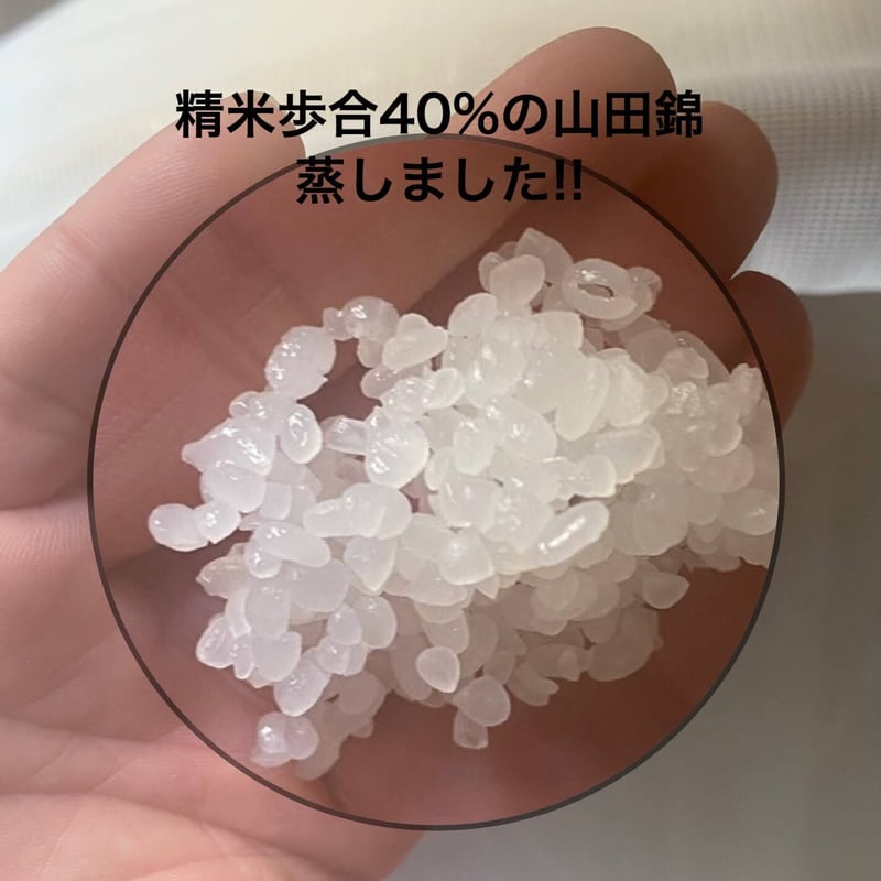 純米大吟醸酒 清泉石上流(セイセンセキジョウヲナガル) 720ml [JD-SE