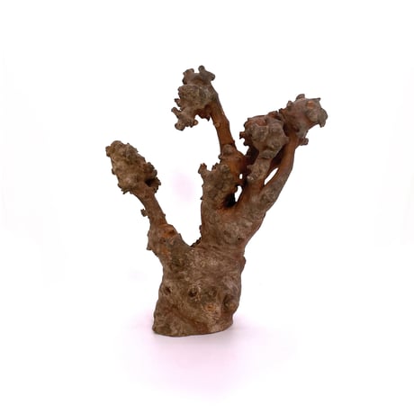 Wood 置物