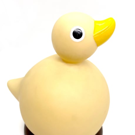 Duck mirror