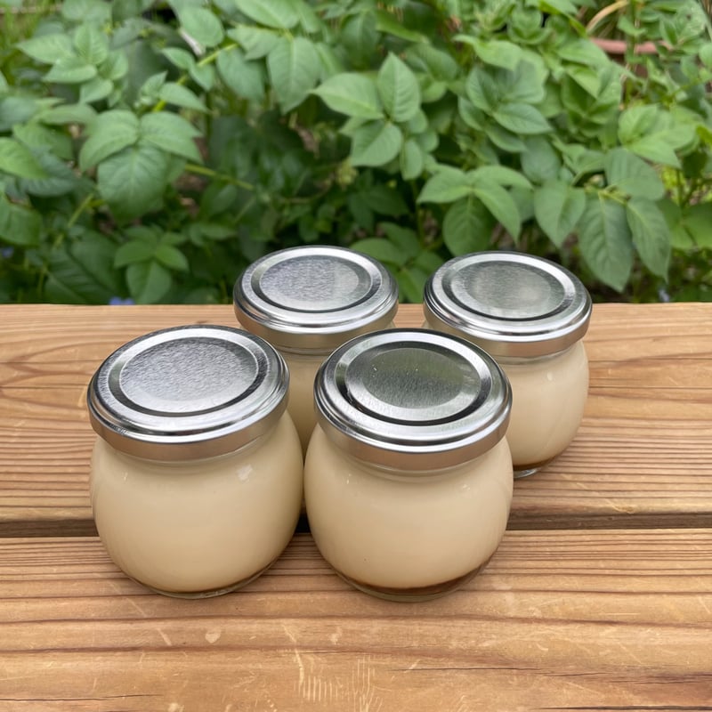 プリンボーイ 2024年末抽選販売】新作8作品のご紹介【応募12月2日締切】 | INSTINCTOY