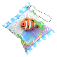 ぶらぶらアクアリウム　B：クマノミ