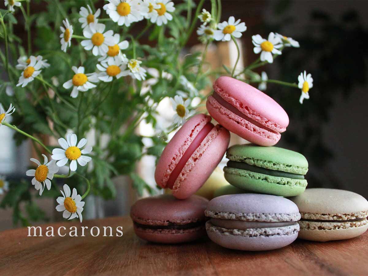 グラント・イーワンズ　マカロン 楽天市場】【国内正規品】テラミークリーム 200g グラント