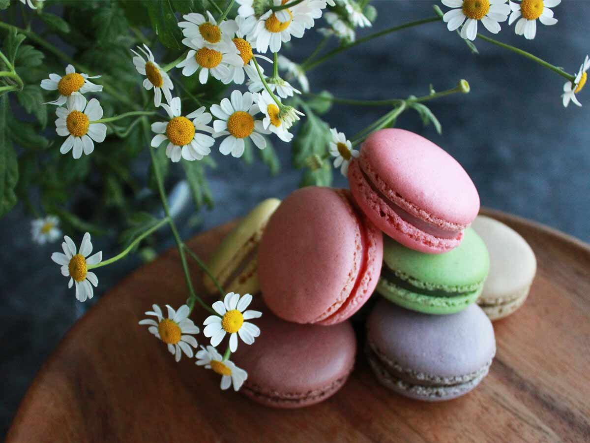 マカロン マカロン（5個入） | KANSENDO 魚沼新潟