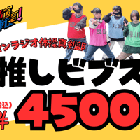 【予約注文】推しビブス