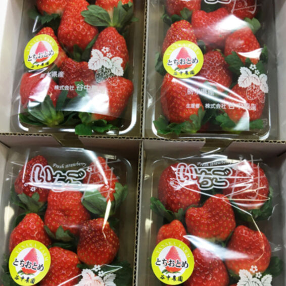 fit=scale-down,w=1200