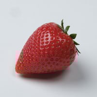 谷中農園のいちご「とちおとめ」 2パック | 谷中農園