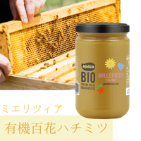 イタリア産 有機百花ハチミツ 400g