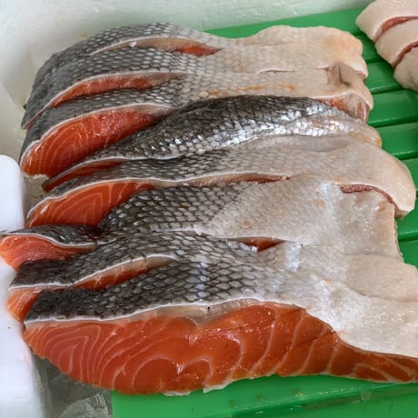 三角魚信