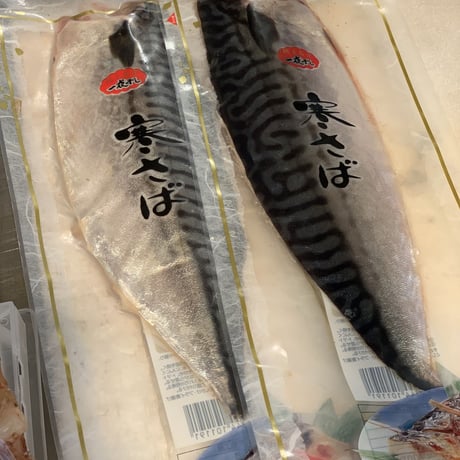 三角魚信