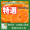 【送料無料】有田みかん【低農薬】【乳酸菌栽培】お歳暮・贈答用 和歌山 谷本農園 有田のめぐみ 5kg(※北海道+1300円、沖縄+1500円の送料を頂戴します)