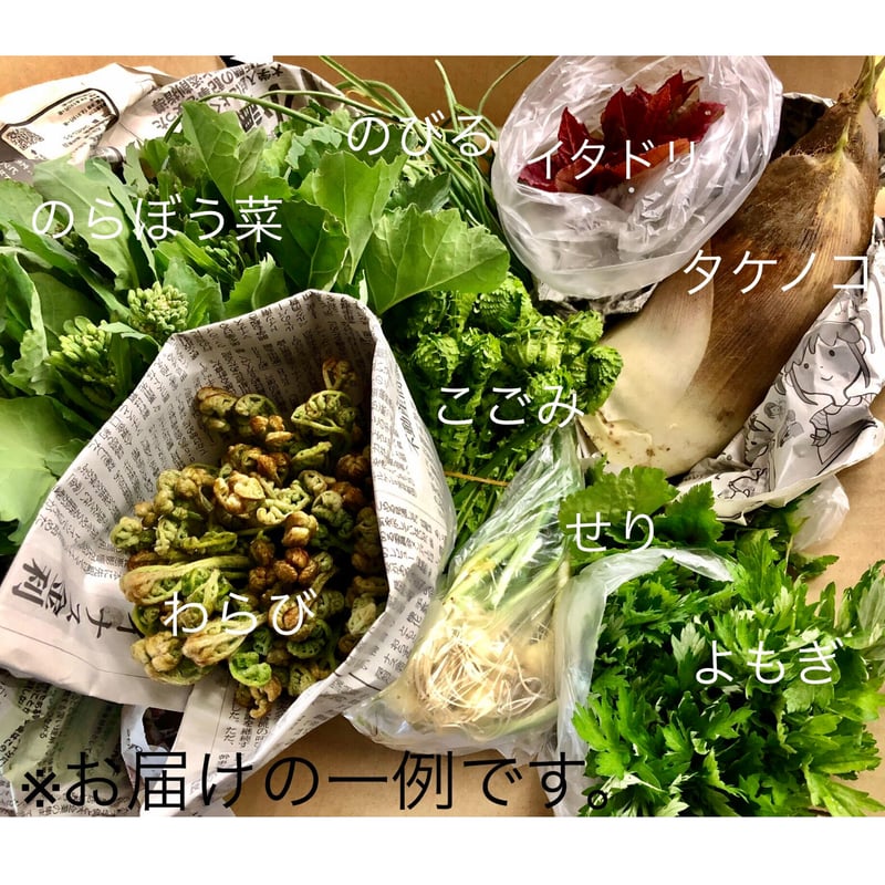 新鮮朝採り】山菜セット | びりゅう館オンラインストア〜雑穀と蕎麦と