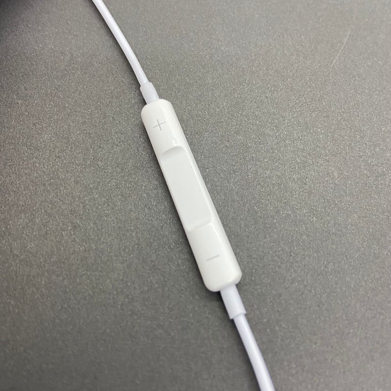 新品】Lightning／ Type-C イヤホン 互換 EarPodsタイプ 有線イヤホン