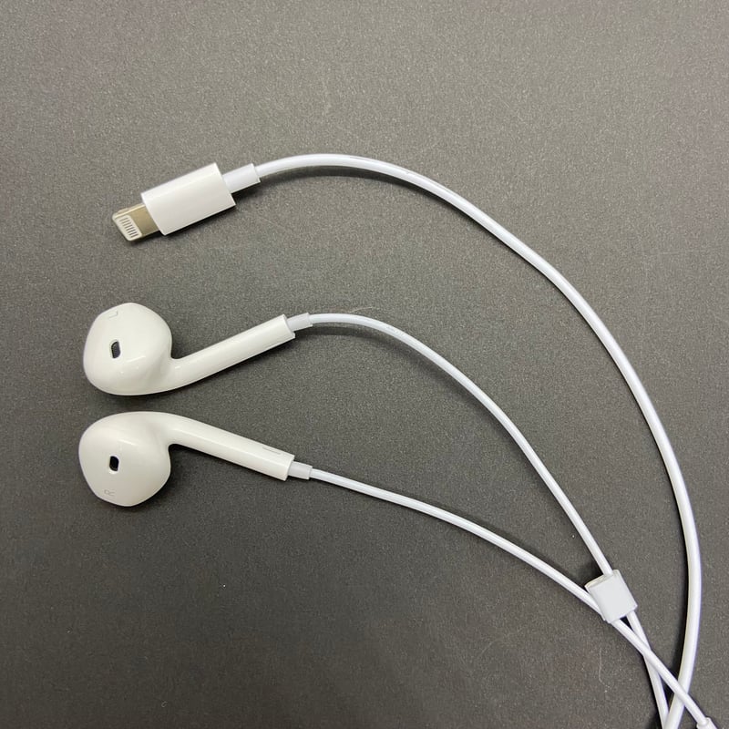 新品】Lightning／ Type-C イヤホン 互換 EarPodsタイプ 有線イヤホン