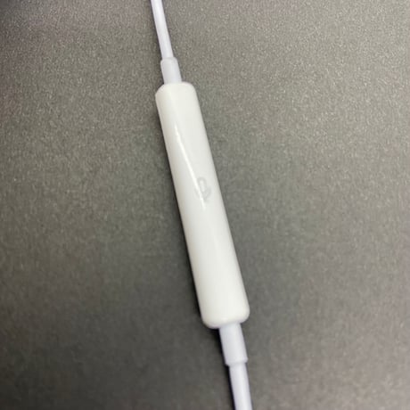 【新品】Lightning／ Type-C イヤホン 互換 EarPodsタイプ 有線イヤホン