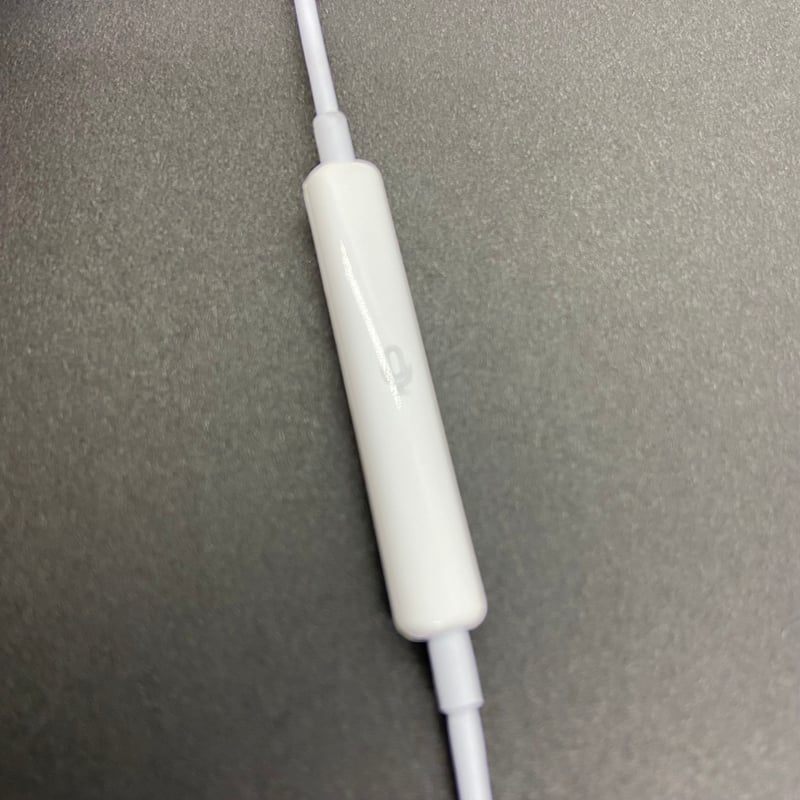 新品】Lightning／ Type-C イヤホン 互換 EarPodsタイプ 有線イヤホン