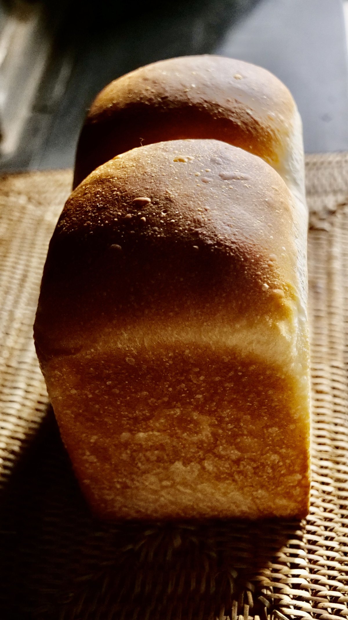 手ごねパン   お問い合わせ専用 8/9（土）予約販売】パン・ド・ミ（山型食パン） | CHEVRE STORE