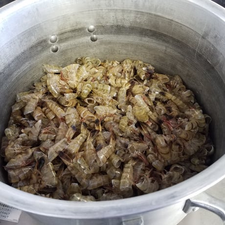 海老餃子　[月初限定]