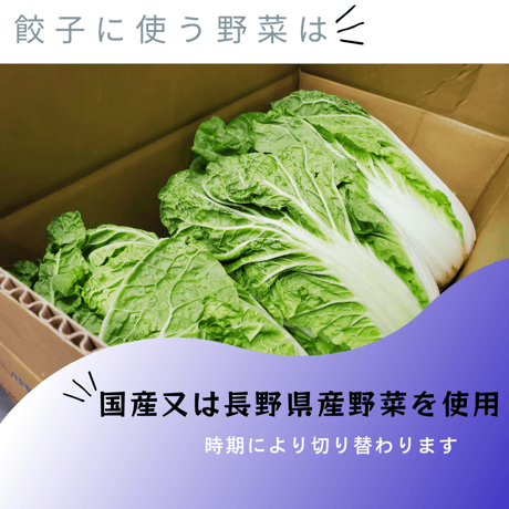 豚生姜餃子[限定餃子]