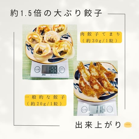 豚生姜餃子[限定餃子]