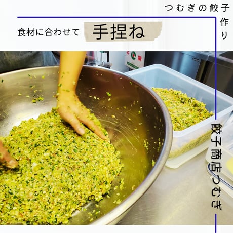 豚生姜餃子[限定餃子]