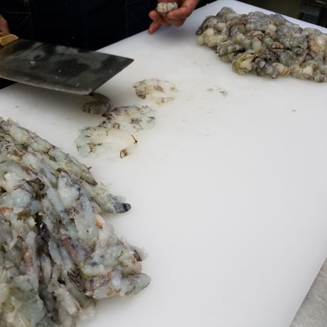 海老餃子　[月初限定]