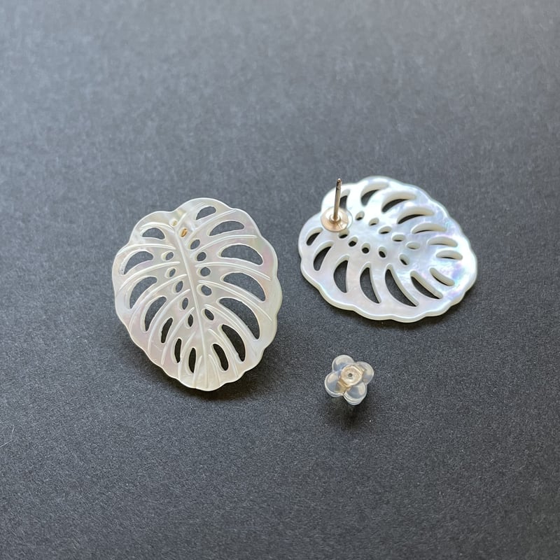 14kgf ホワイトシェル (モンステラ)