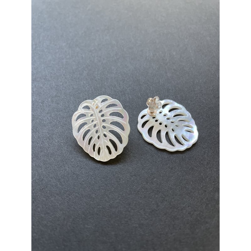 14kgf ホワイトシェル (モンステラ)