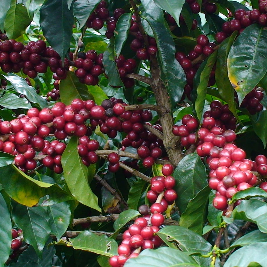 667bbba84fdf6e035b059f20