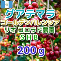 グアテマラ　ゴールデンパレンシア　リオ　コロラド農園SHB 200g